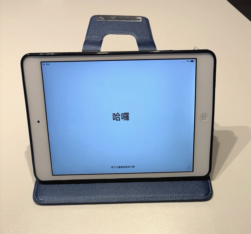 Apple ipad mini - apple,