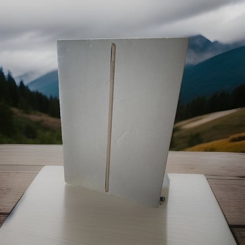 Apple ipad air wi - 16, gb,