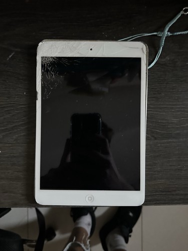 Ipad mini bianco wifi - ipad,